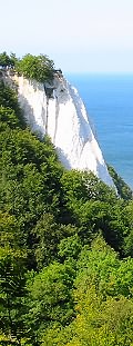 Kreidefelsen auf Rügen