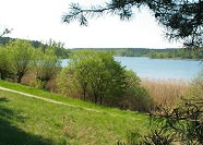 Am Feisnecksee bei Waren(M&uuml;ritz)