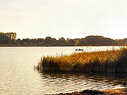 Angler auf dem Fleesensee